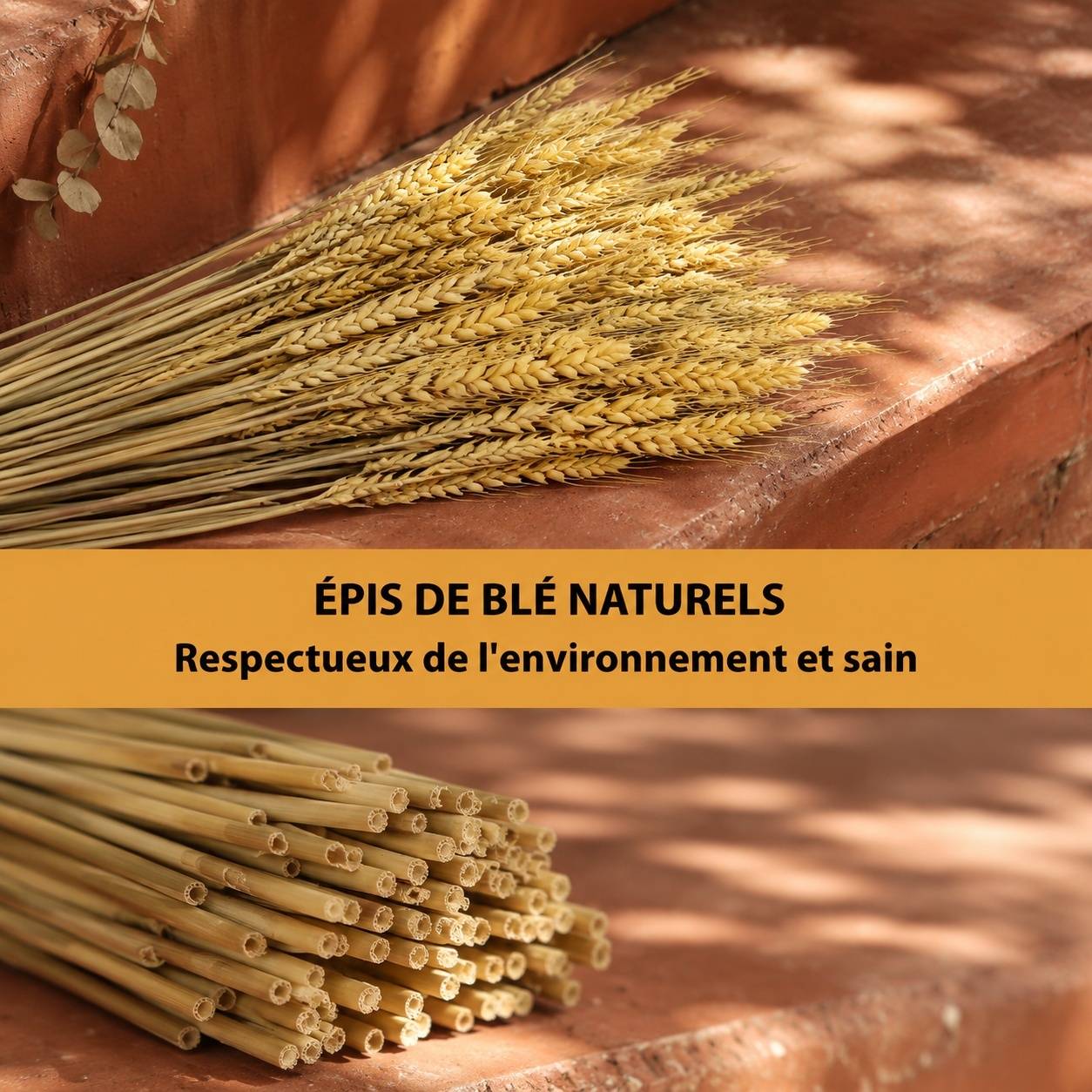 Décorations de Blé Séché Naturel Décoration Bohème Rustique pour Mariage Fête Maison - Image 3