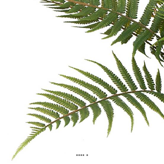 Fougère arborescente des forêts artificielle en pot H 50 cm D 65 cm - Image 3