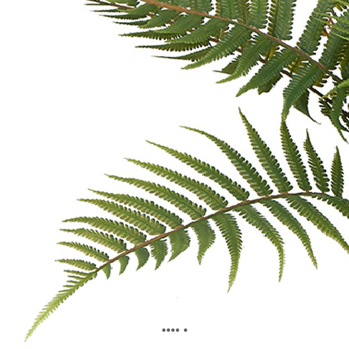 Fougère arborescente des forêts artificielle en pot H 50 cm D 65 cm - Image 3