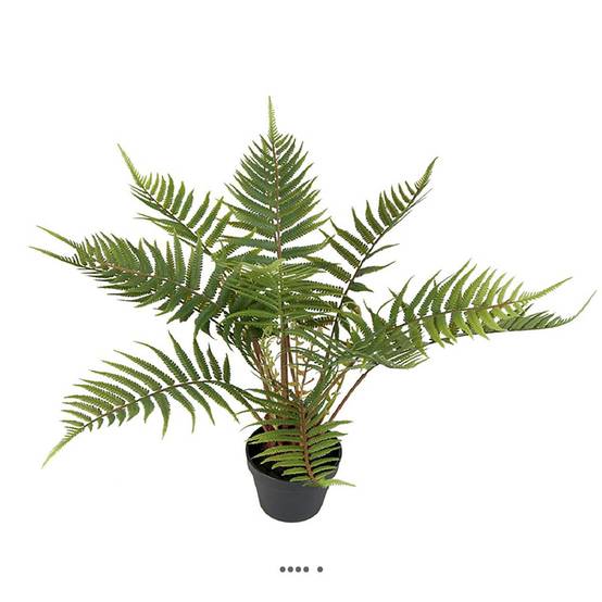 Fougère arborescente des forêts artificielle en pot H 50 cm D 65 cm - Image 1