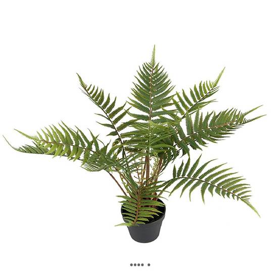 Fougère arborescente des forêts artificielle en pot H 50 cm D 65 cm - Image 2