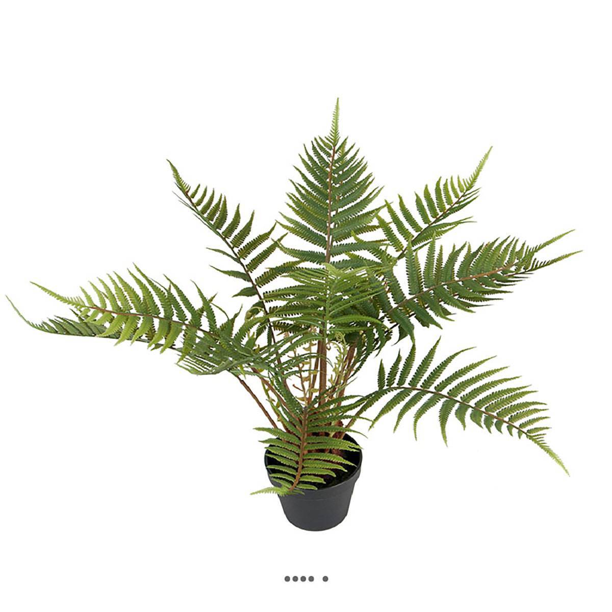 Fougère arborescente des forêts artificielle en pot H 50 cm D 65 cm - Image 2