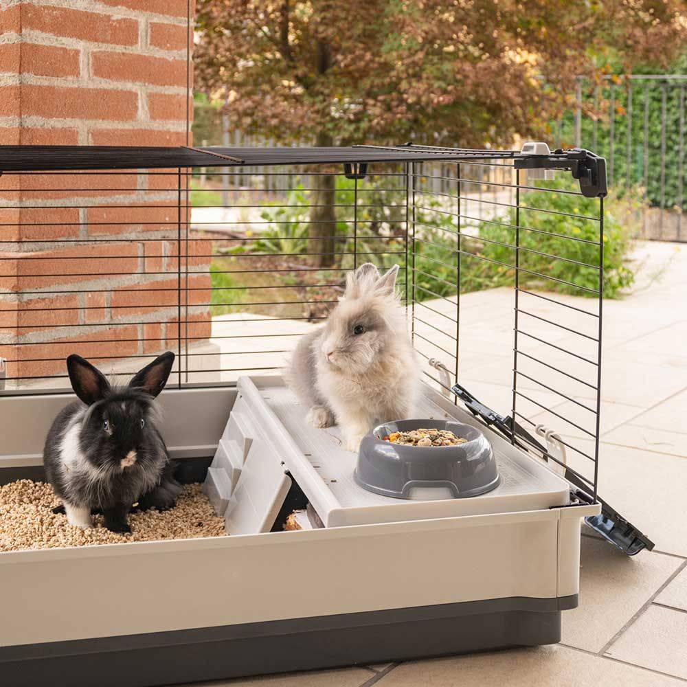 Ferplast - FERPLAST - Cage Cochon d'Inde - Cage Lapin - Maison Lapin - Clapier Lapin - accessoires inclus - Ouvrant et modulable 120 x 60 xh 50 CM - Krolik XL - Imagen 5