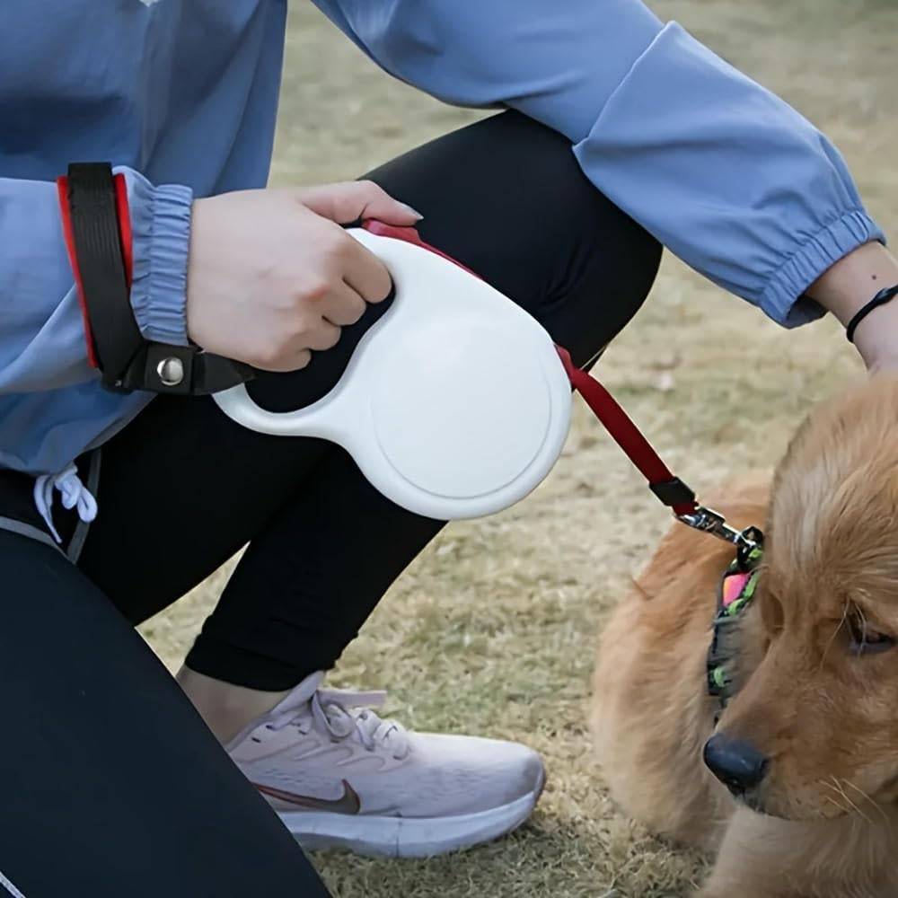Laisse Anti-Dérapage Réglable pour Chien - Sécurité Optimale-Living123 - Image 4