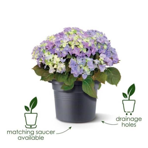 Elho Maceta Green Basics Cilinder 65 - Negro - Ø 64 x H 49 cm - exterior - 100% reciclado - Imagen 3