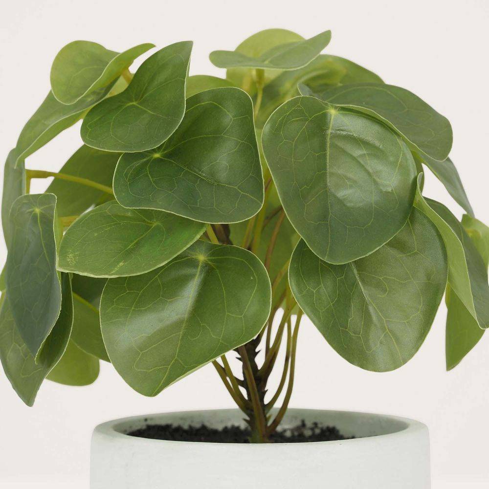 Ligne Deco - Pilea artificielle pot effet ciment 23 cm Ligne Deco - Imagen 2