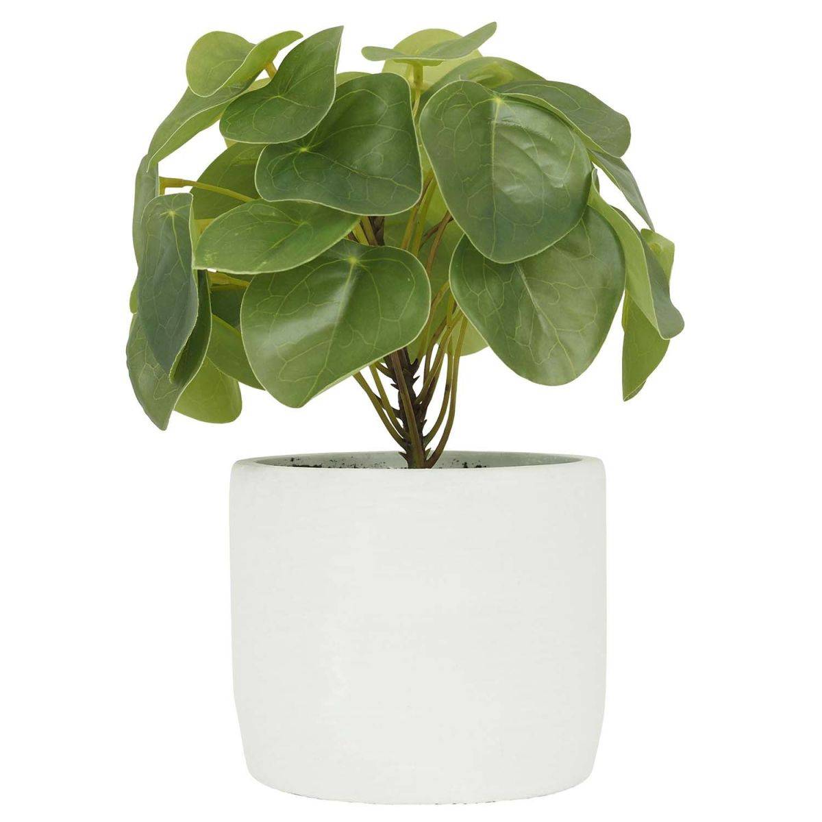 Ligne Deco - Pilea artificielle pot effet ciment 23 cm Ligne Deco - Imagen 1
