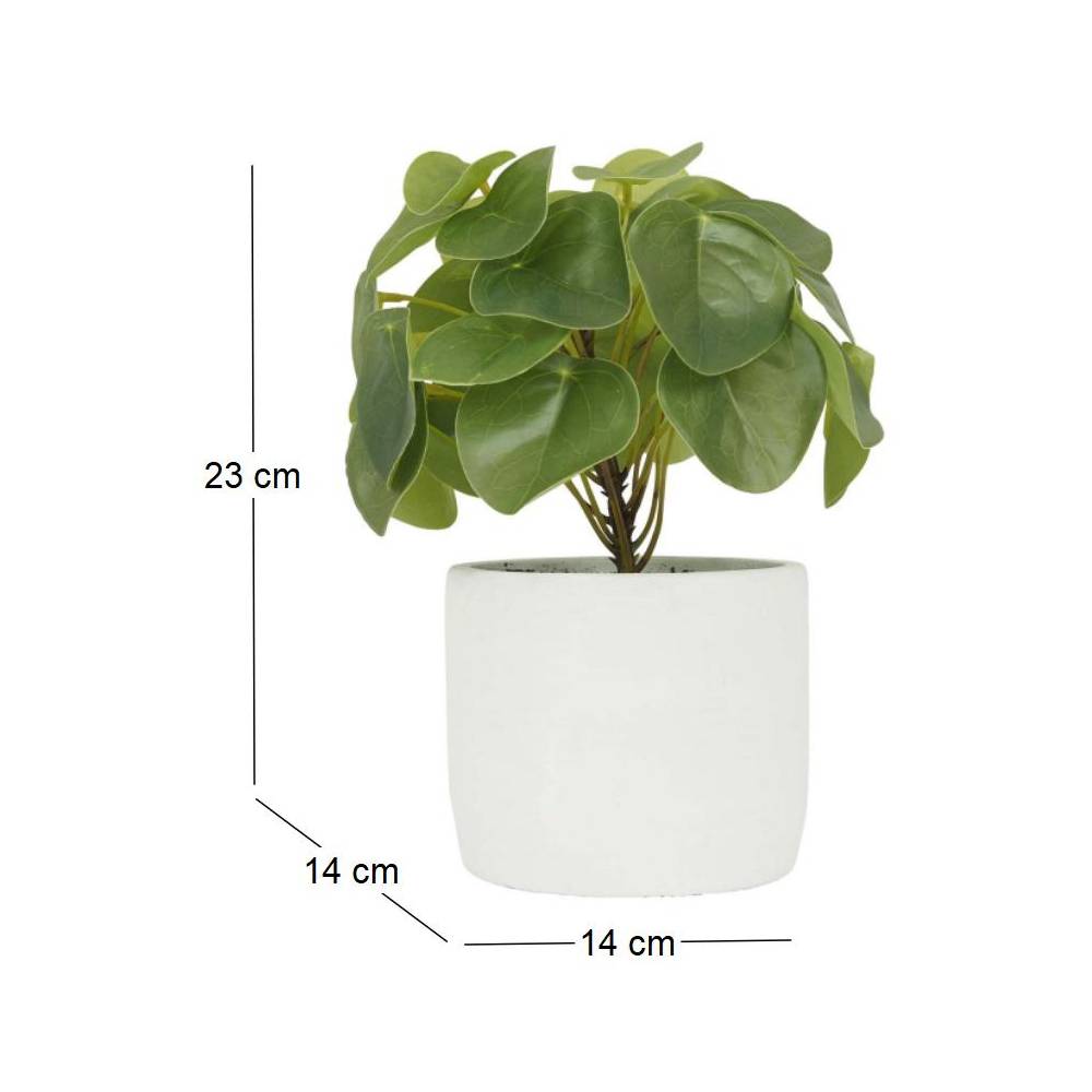 Ligne Deco - Pilea artificielle pot effet ciment 23 cm Ligne Deco - Imagen 3