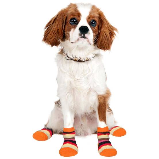 Chaussettes chaude antidérapante 1 paire Taille XS pour chien - Image 2