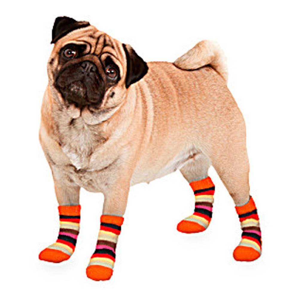 Chaussettes chaude  antidérapante 1 paire Taille XS pour chien - Image 3