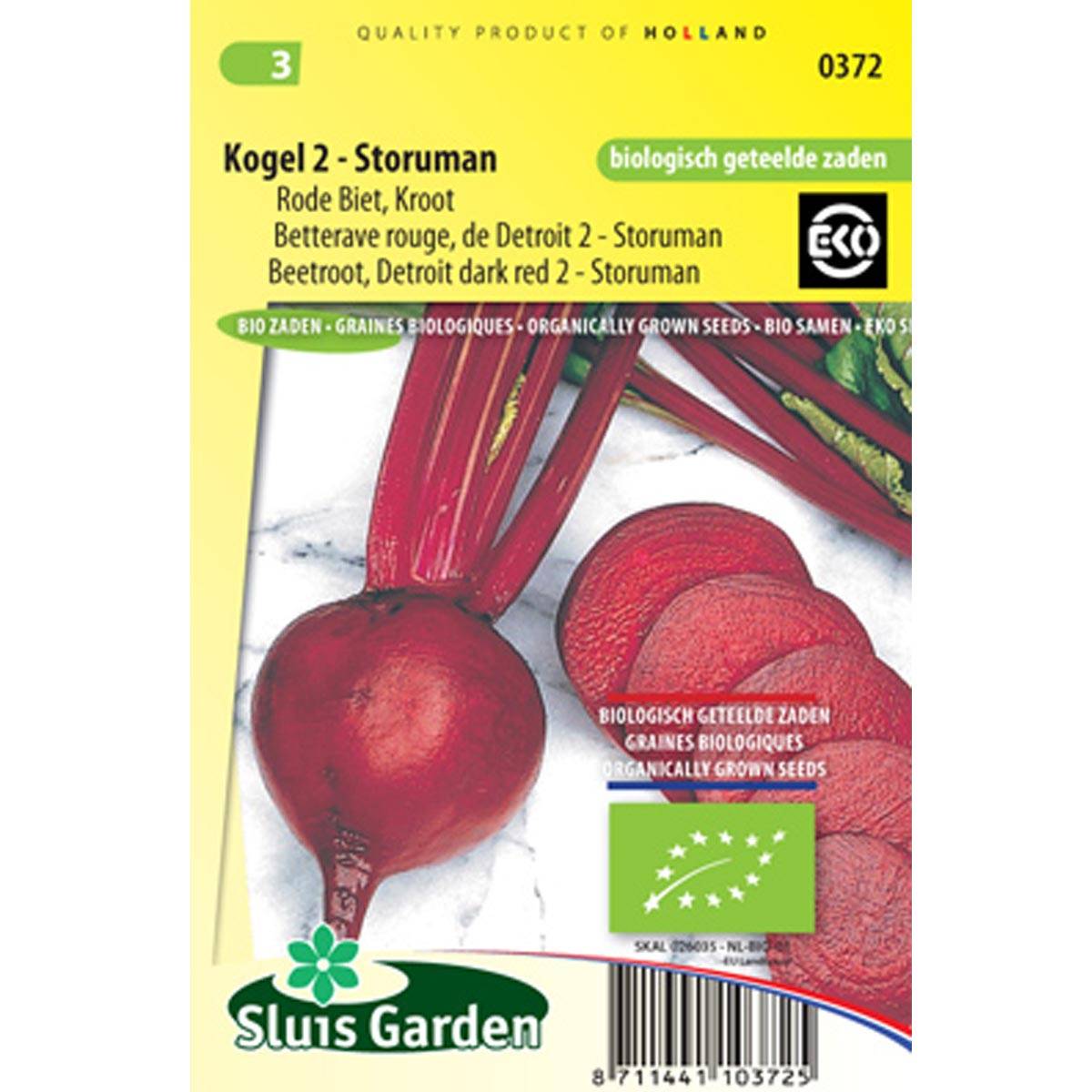 Betterave rouge de Detroit am. 2 - Storuman BIO le sachet de 240 graines environ (4g)