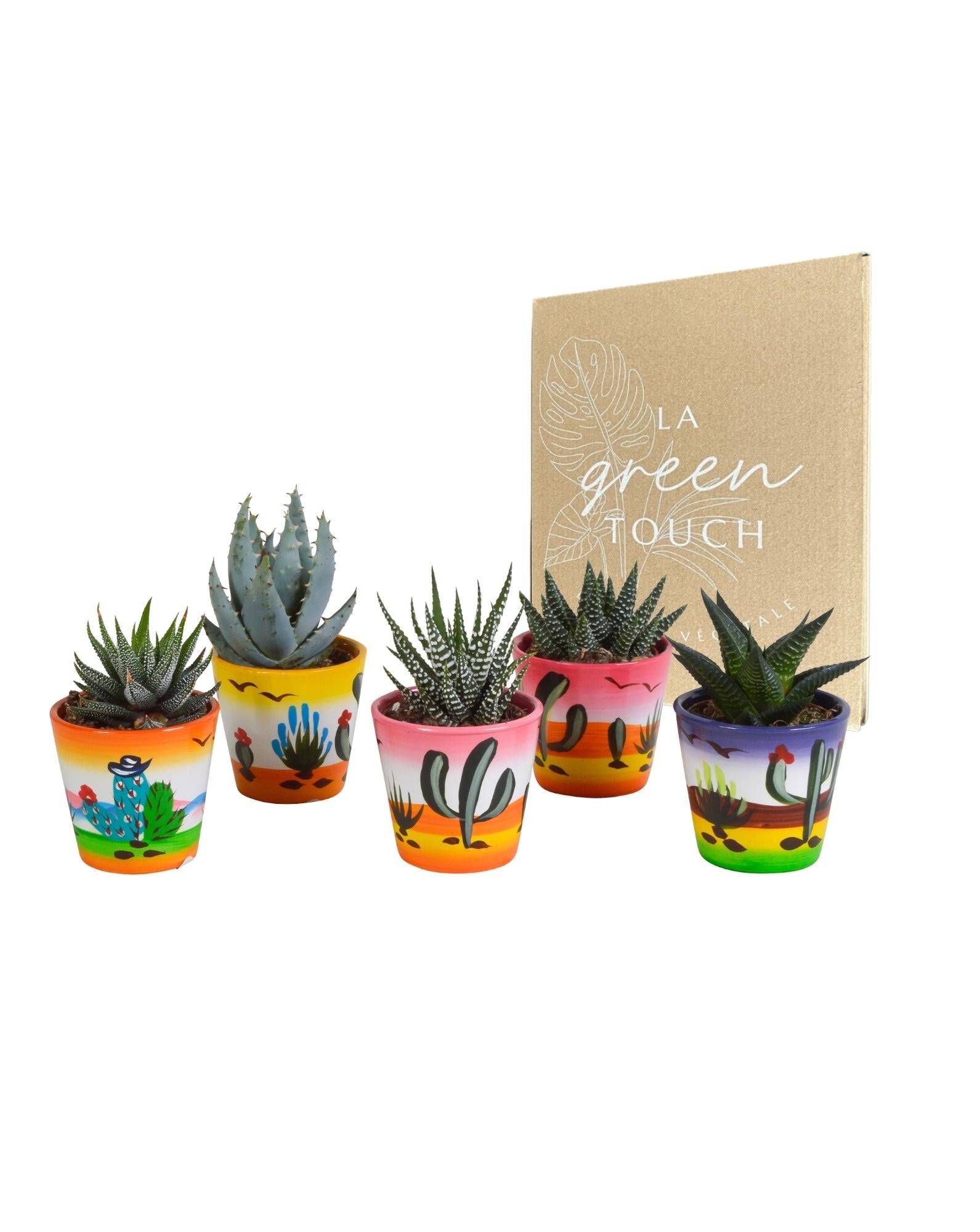 La Green Touch - Mix de 5 succulentes et leurs caches-pots h13cm- La Green Touch - Imagen 1