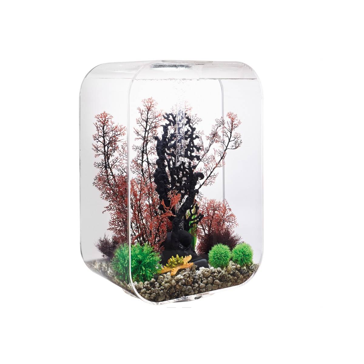 Oase - Aquarium 60l contours transparent LIFE 60 MCR TRANSPARENT Oase - Imagen 1