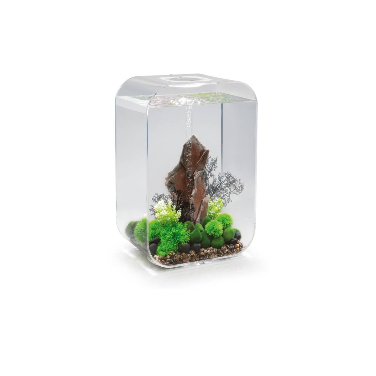 Oase - Aquarium 60l contours transparent LIFE 60 MCR TRANSPARENT Oase - Imagen 3