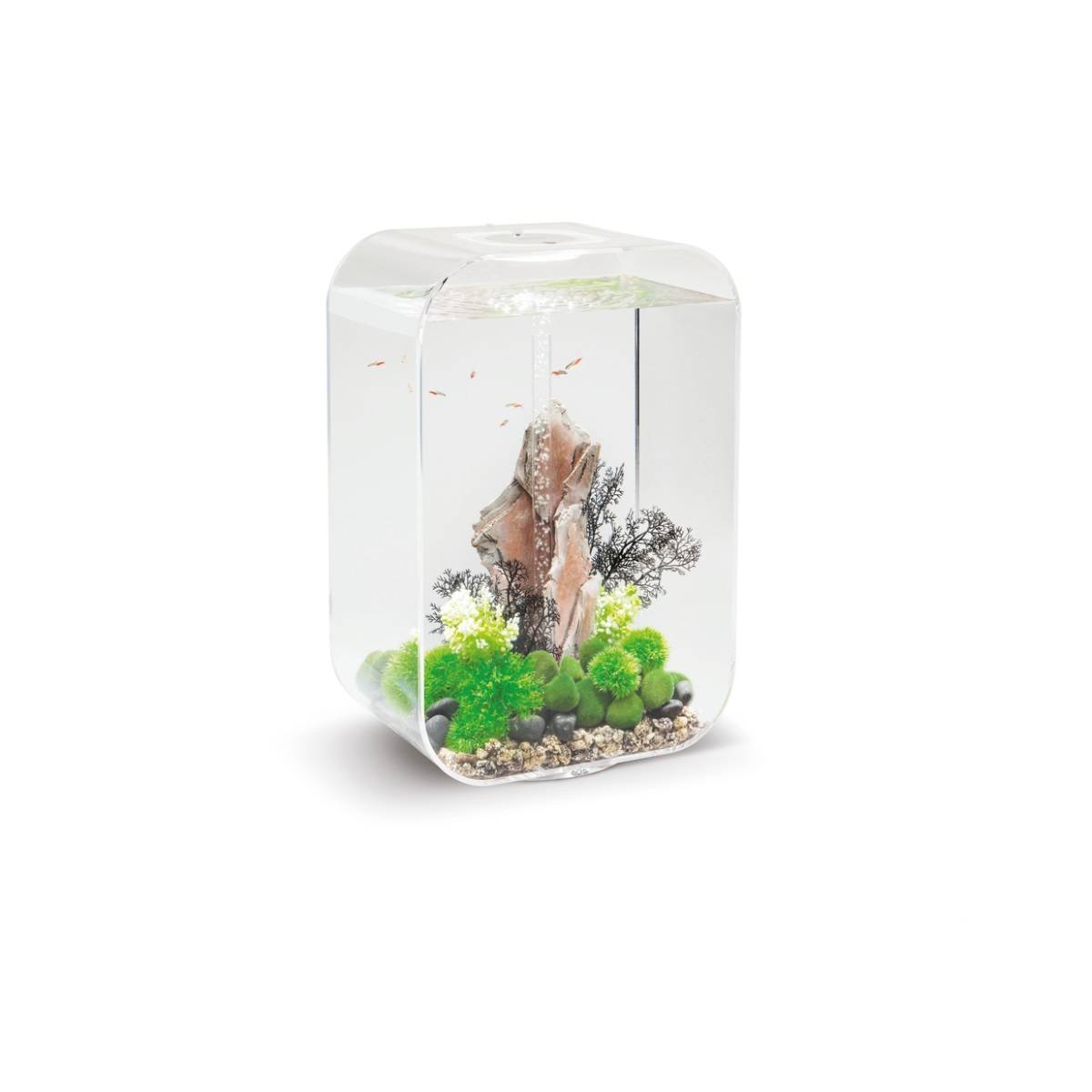 Oase - Aquarium 60l contours transparent LIFE 60 MCR TRANSPARENT Oase - Imagen 2
