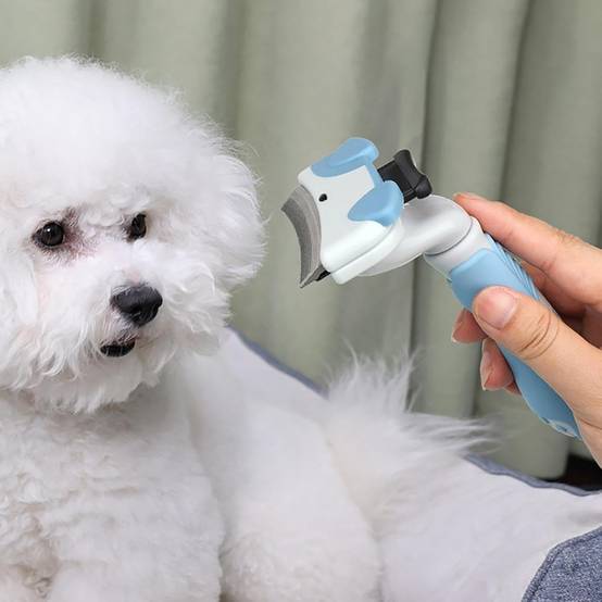 Brosse chat – Démêlage rapide, nettoyage sans effort DtopbuyAge - Image 2