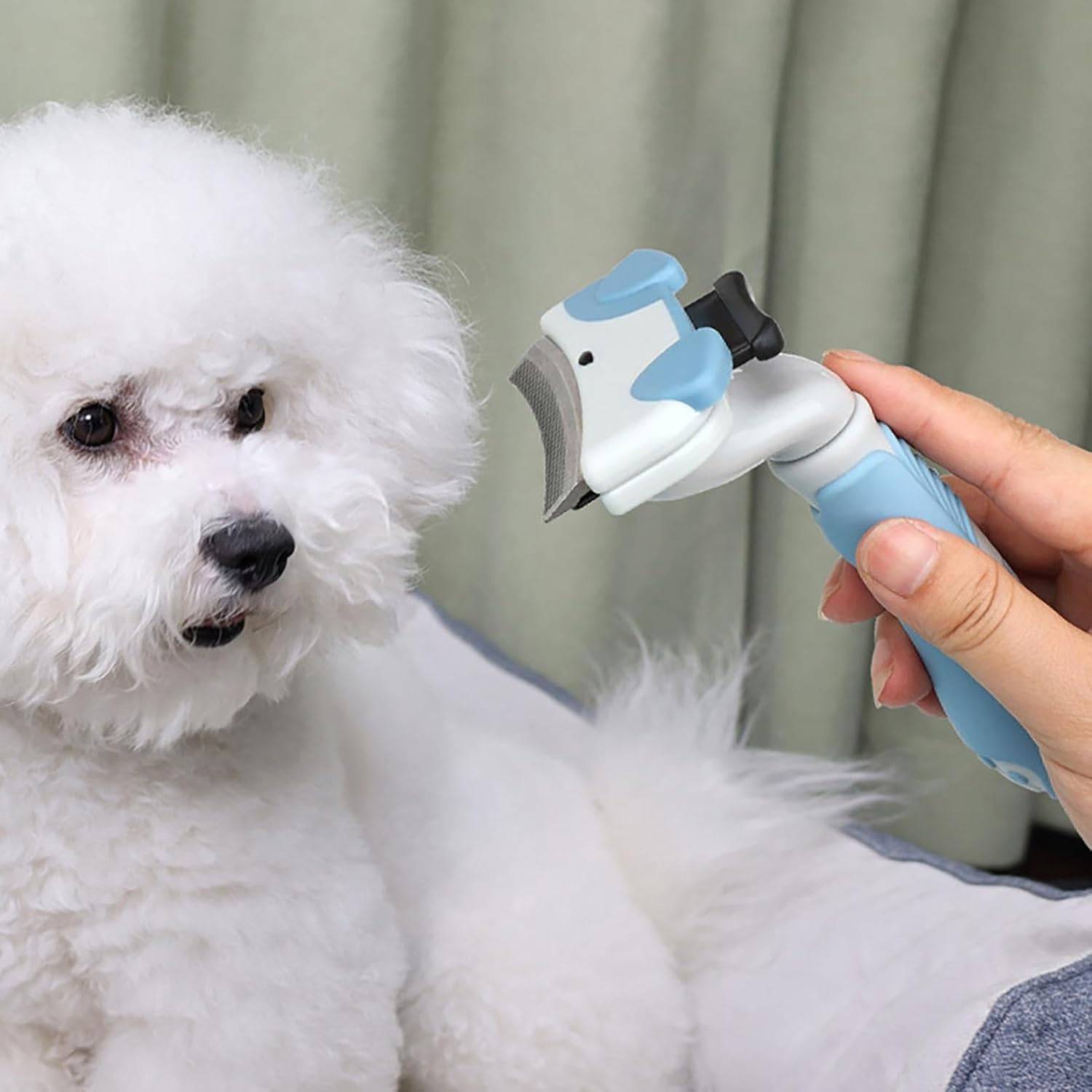 Brosse chat – Démêlage rapide, nettoyage sans effort DtopbuyAge - Image 2