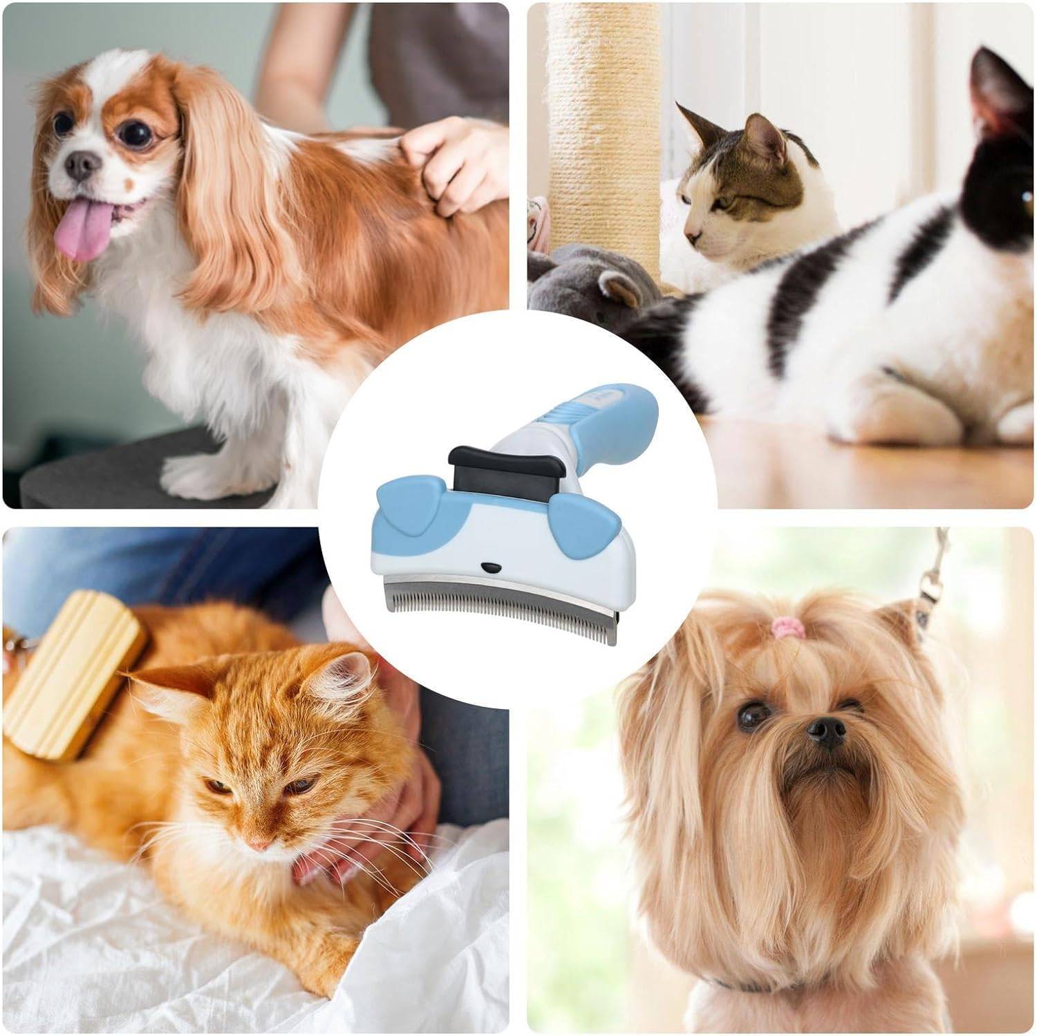 Brosse chat – Démêlage rapide, nettoyage sans effort DtopbuyAge - Image 5