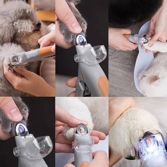 Coupe-Ongles LED pour Chats/Chiens - Sécurité et Précision DtopbuyAge - Image 5