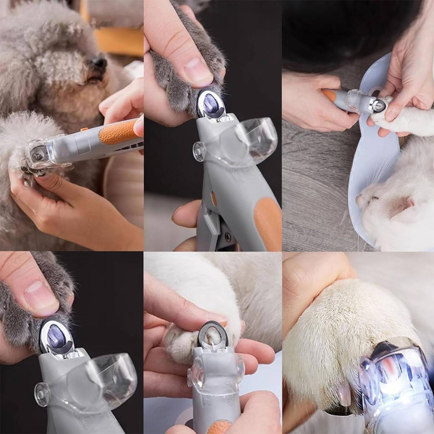 Coupe-Ongles LED pour Chats/Chiens - Sécurité et Précision DtopbuyAge - Image 5