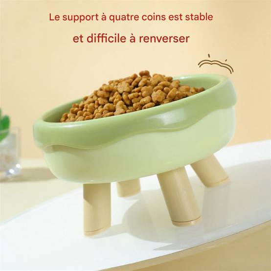 Bol d'eau et de nourriture pour chien et chat DtopbuyAge - Image 4