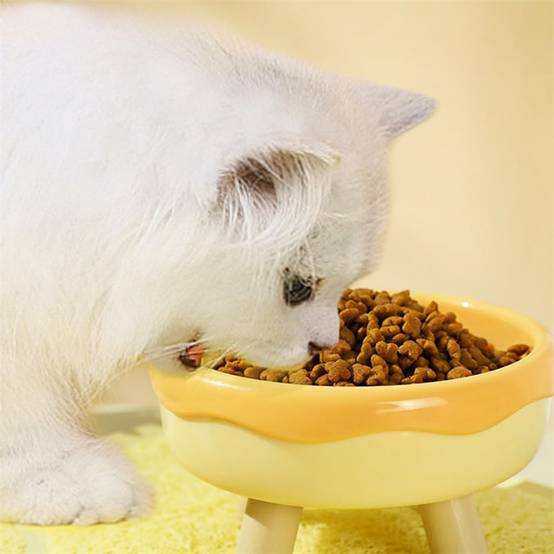 Bol d'eau et de nourriture pour chien et chat DtopbuyAge - Image 3