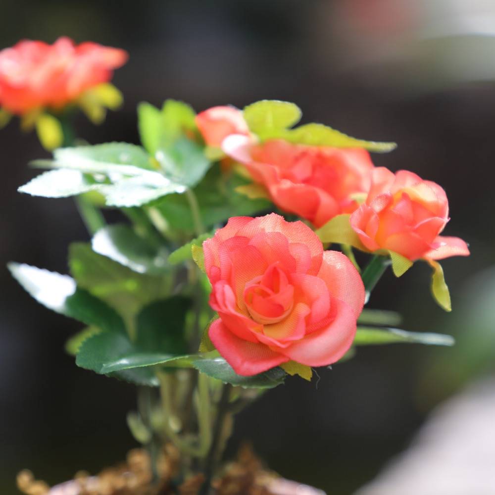 ~Rosier plante fleur artificielle extérieur cimetière tissu corail12cm Chemin de campagne - Imagen 3