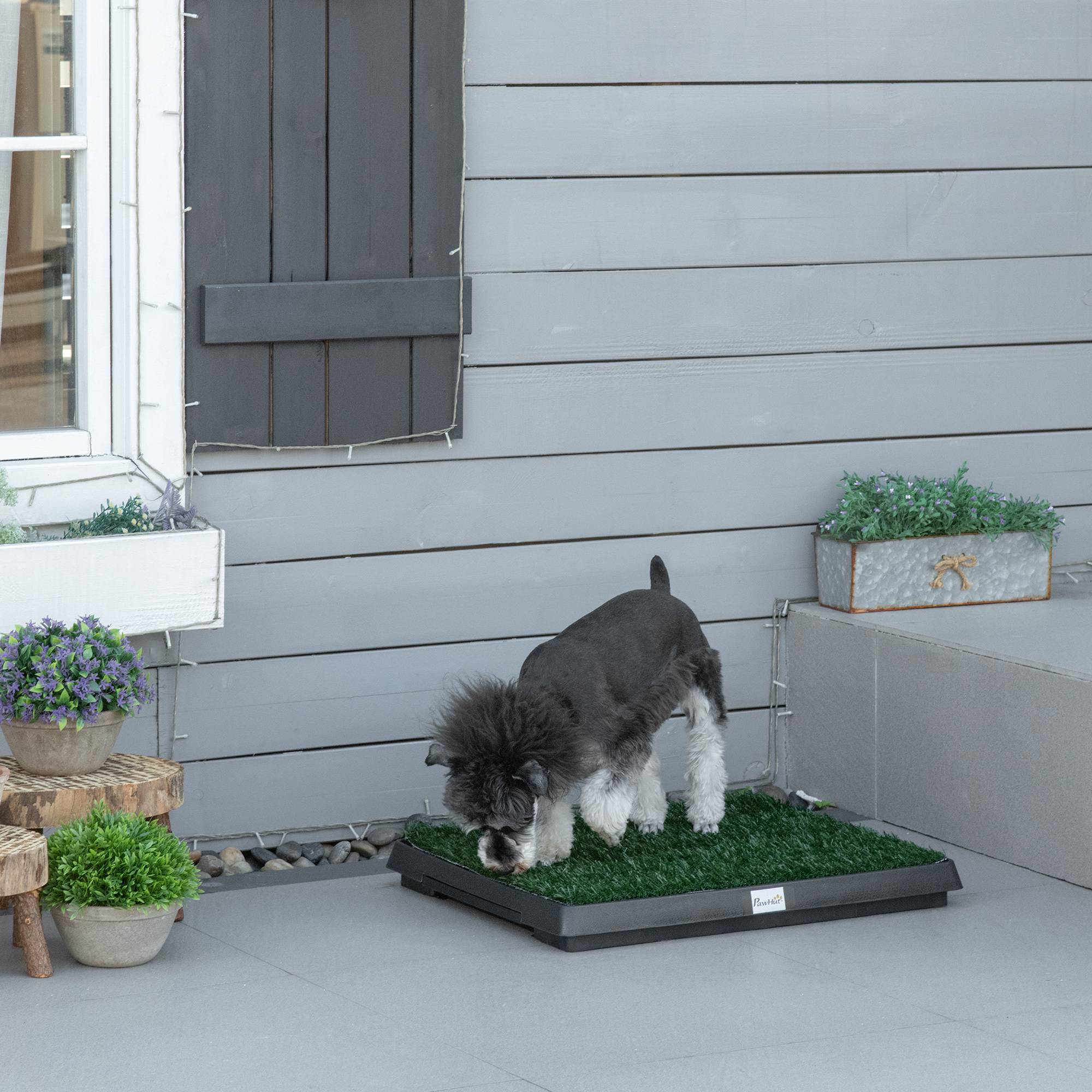 ComfortXL - Toilette pour chien en plastique vert 63 x 51 x 6 cm intérieur balcon avec gazon synthétique lavable - Image 4