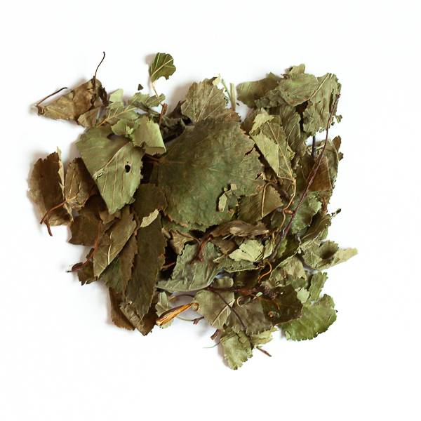 Feuilles de bouleau pour lapins et rongeurs - 100% naturelles - 100g - L'Eden des Pattounes
