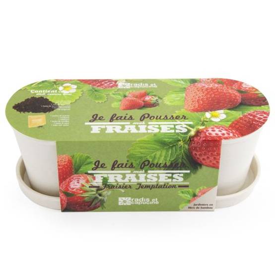 Radis et Capucine - Radis et Capucine - Jardinière en bambou - Fraisier - Imagen 3