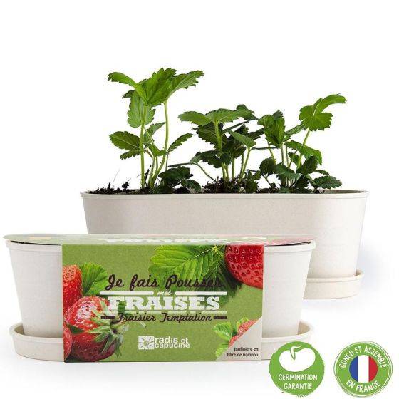 Radis et Capucine - Radis et Capucine - Jardinière en bambou - Fraisier - Imagen 1