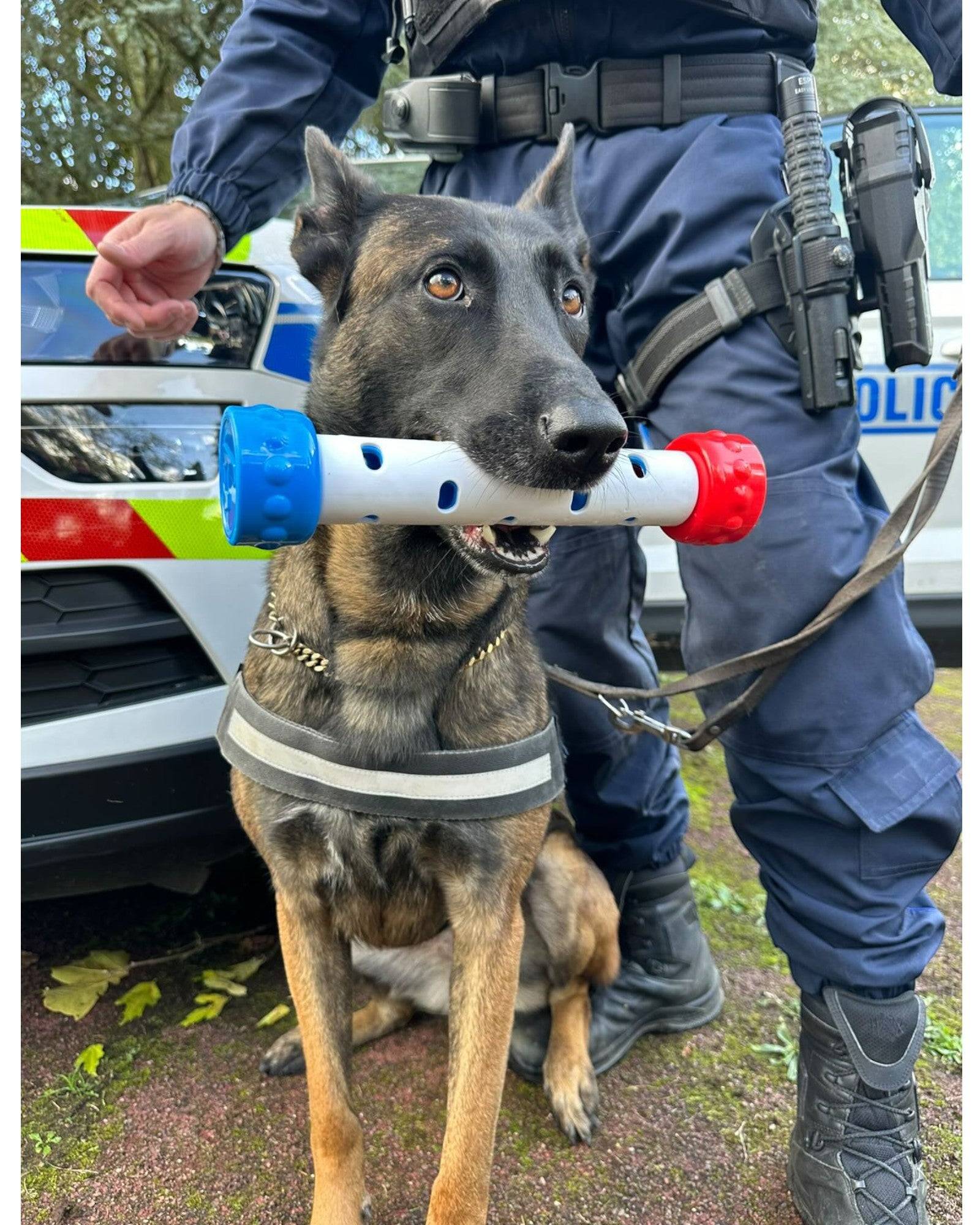 France Croquettes - France Croquettes Jouet de détection d'odeur pour chien - Bleu - Image 3