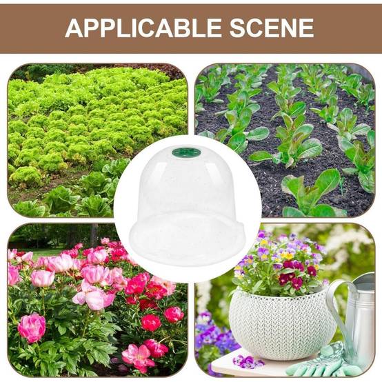 Lot de 10 protection pour plantes - 18cm - Anti-limaces - Living123 - Image 6