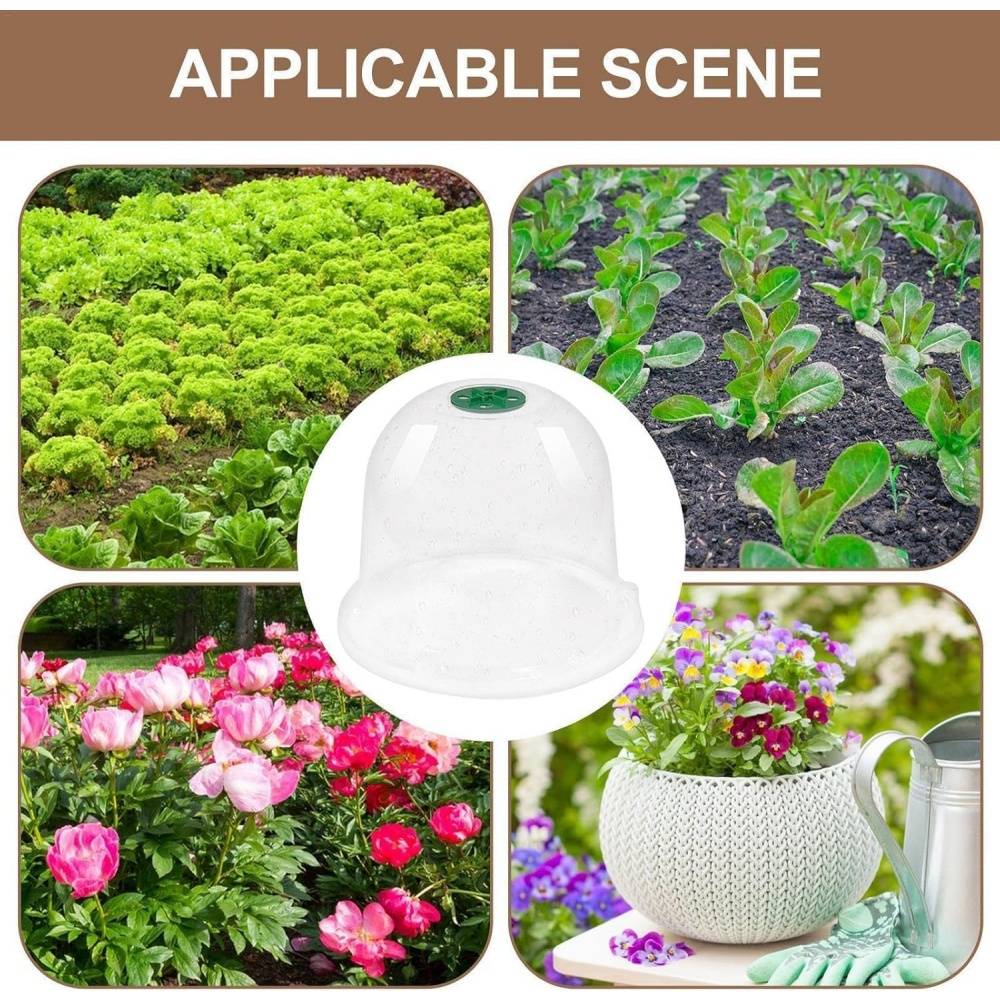 Lot de 10 protection pour plantes - 18cm - Anti-limaces - Living123 - Image 6