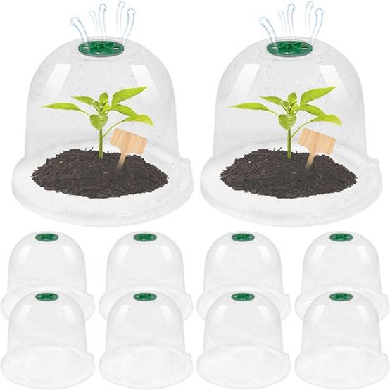 Lot de 10 protection pour plantes - 18cm - Anti-limaces - Living123 - Image 1