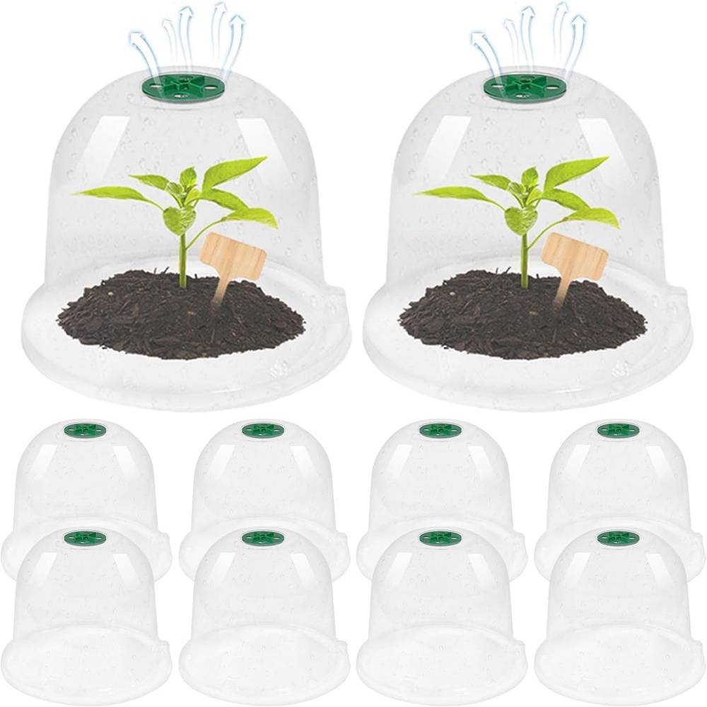 Lot de 10 protection pour plantes - 18cm - Anti-limaces - Living123 - Image 1