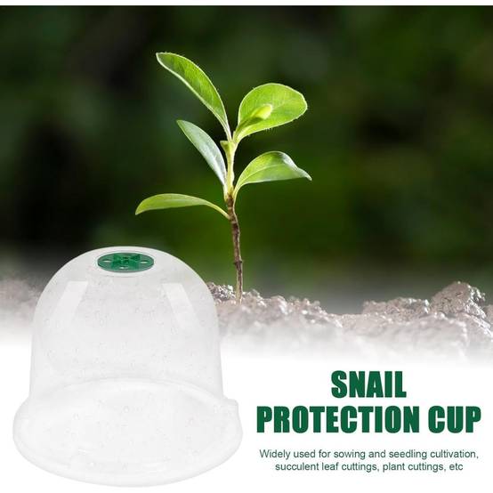 Lot de 10 protection pour plantes - 18cm - Anti-limaces - Living123 - Image 5