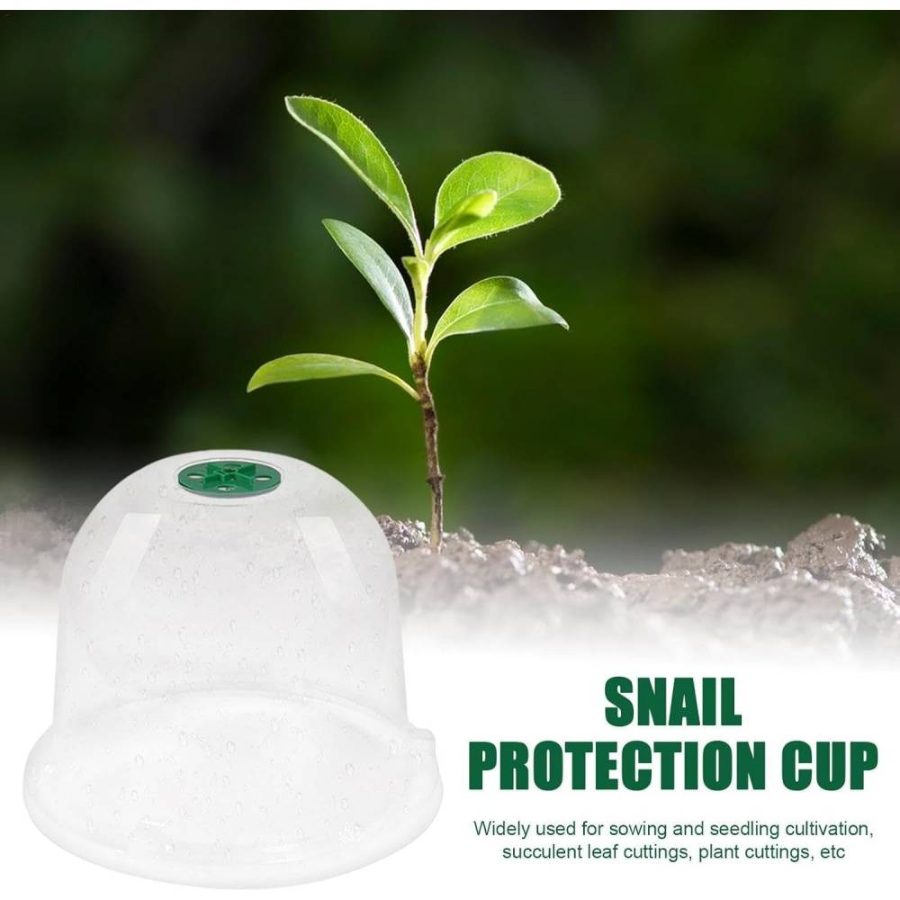 Lot de 10 protection pour plantes - 18cm - Anti-limaces - Living123 - Image 5