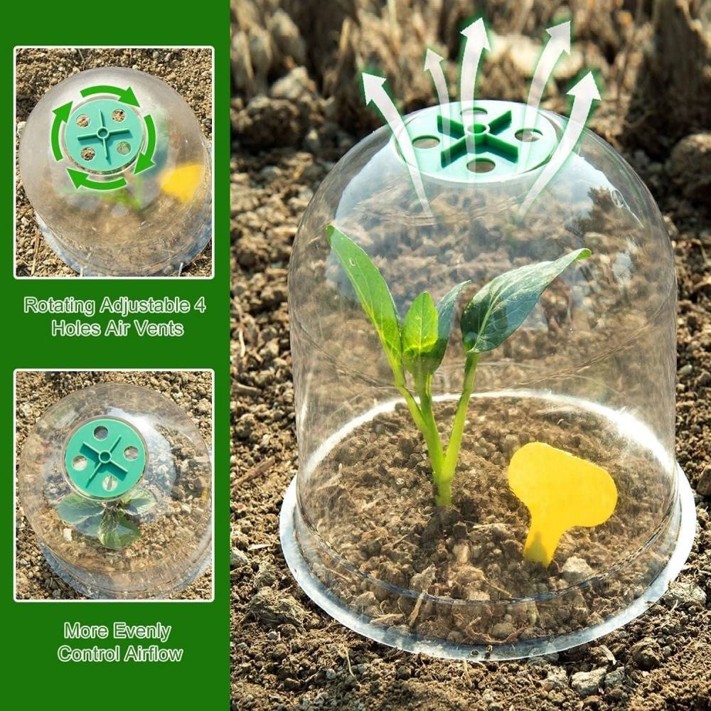 Lot de 10 protection pour plantes - 18cm - Anti-limaces - Living123 - Image 2