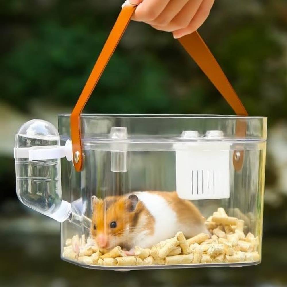 DtopbuyAge - Cage de transport pour hamster et autres rongeurs DtopbuyAge