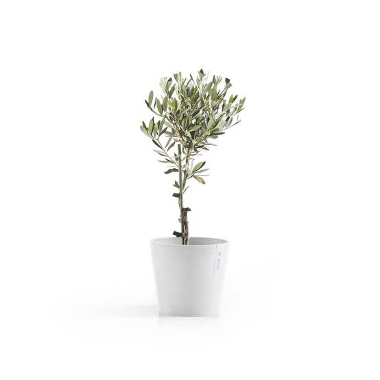 Ecopots - Pot Rond Amsterdam 20 Blanc Pur + réservoir d'eau - Ø 20 x H. 17,5 cm - 4 L ECOPOTS - Imagen 3