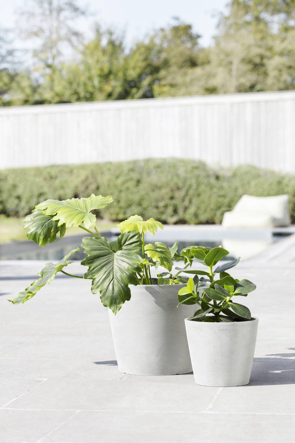 Ecopots - Pot Rond Amsterdam 20 Blanc Pur + réservoir d'eau - Ø 20 x H. 17,5 cm - 4 L ECOPOTS - Imagen 4