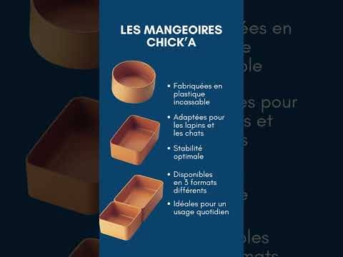 Chick'a - Comedero 2 compartimentos - Imagen 5