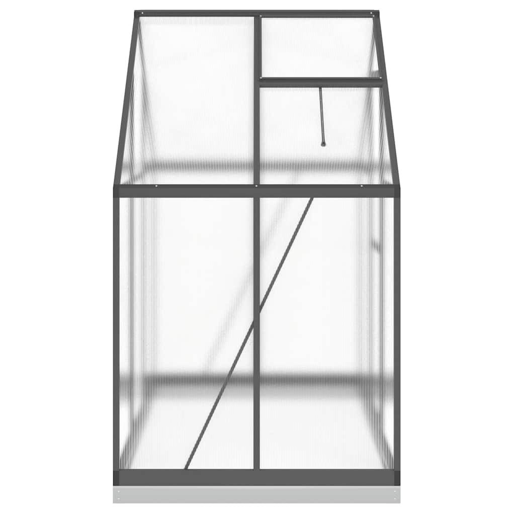 Vidaxl - Serre avec cadre de base anthracite 169x114x202 cm aluminium vidaXL 4005827 - Image 6