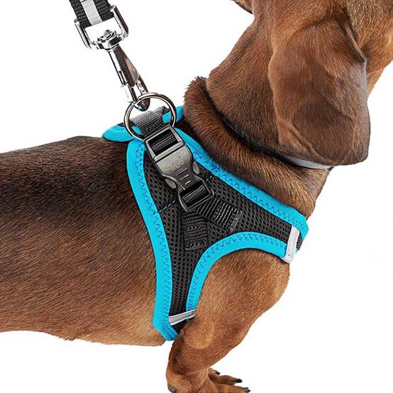 Ferplast - Ferplast Harnais Chien Taille Moyenne KAORI M, Harnais pour Chien Respirant, Rembourré et Ajustable, Facile à Porter, Bords Réfléchissants, Poitrine - Imagen 4