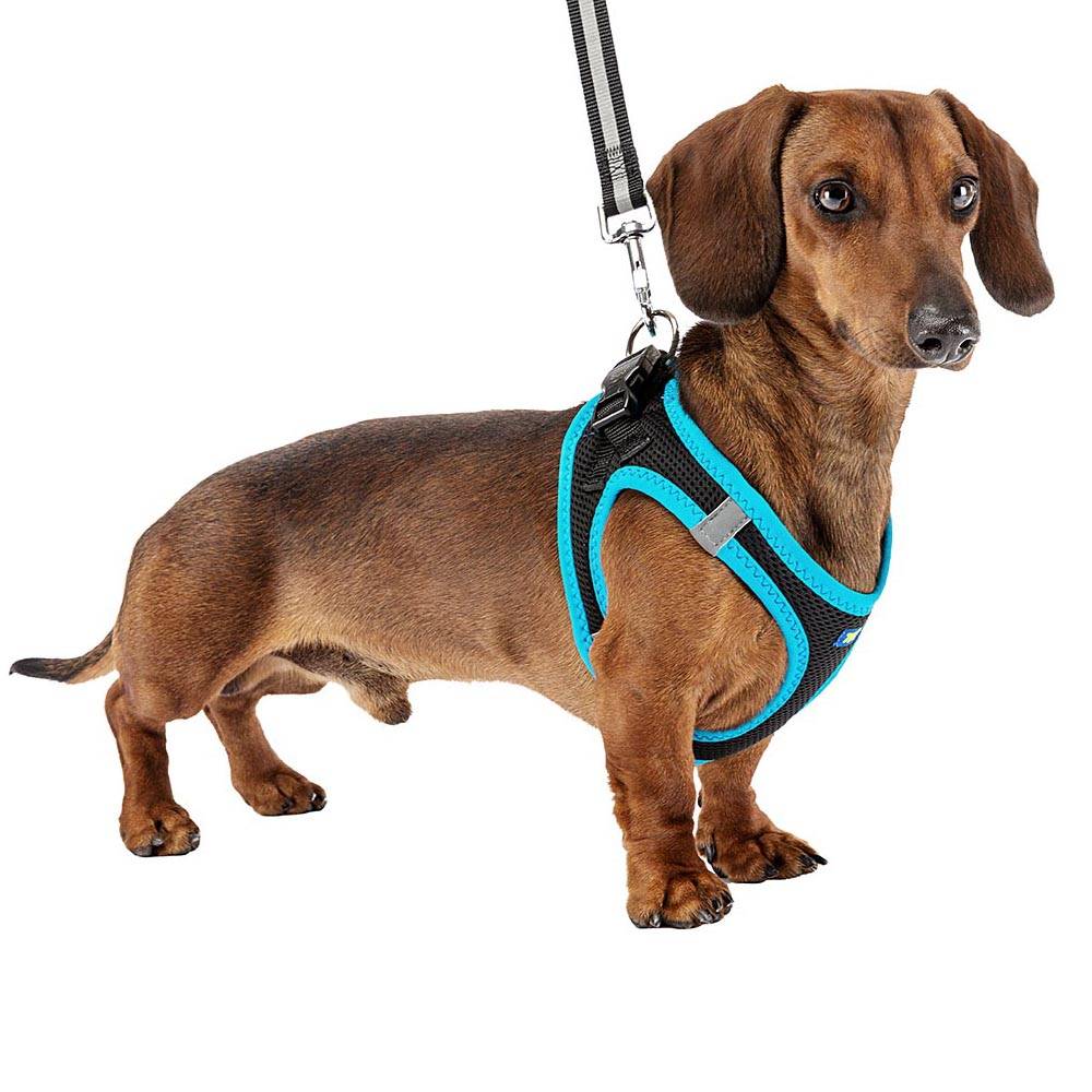 Ferplast - Ferplast Harnais Chien Taille Moyenne KAORI M, Harnais pour Chien Respirant, Rembourré et Ajustable, Facile à Porter, Bords Réfléchissants, Poitrine - Imagen 3
