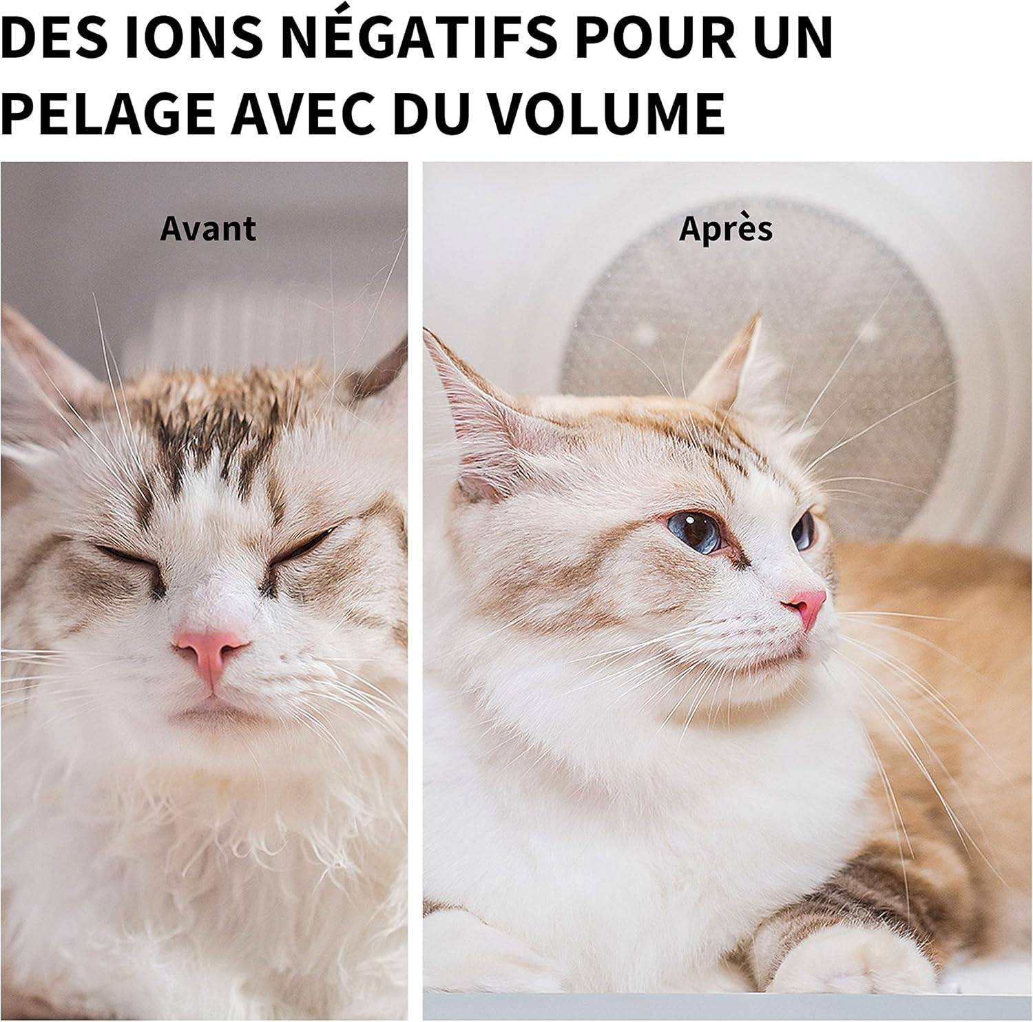Petkit - Airsalon MAX PRO séchoir automatique pour chiens, chats, 60L PETKIT.FR - Imagen 8