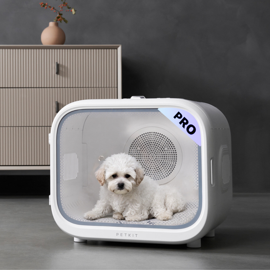 Petkit - Airsalon MAX PRO séchoir automatique pour chiens, chats, 60L PETKIT.FR - Imagen 9