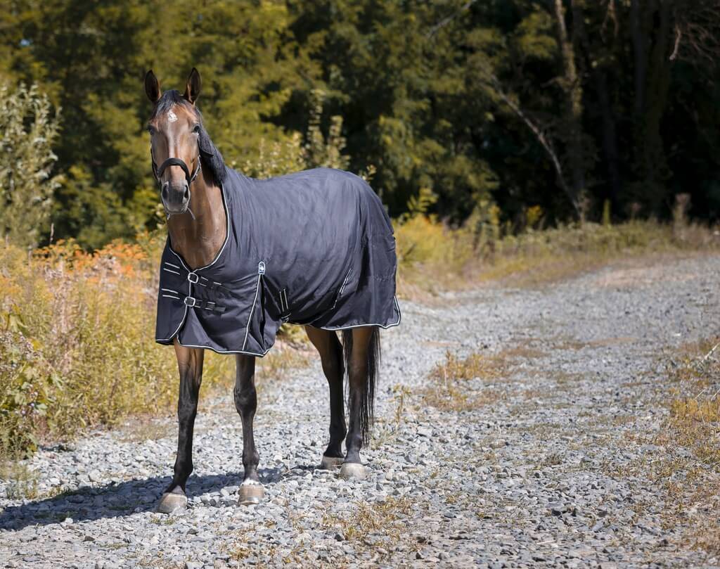 Couverture d'écurie noir - Taille : 6'9 - Imagen 1