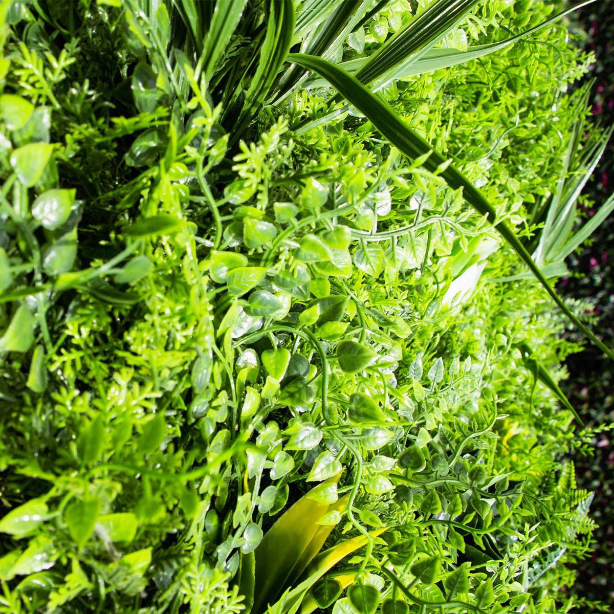 Fougère-Dense Mur vegetal artificiel Plaque de 1M X 1M - Image 2